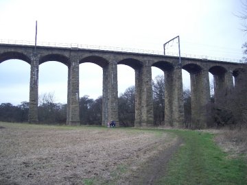 People to Scale